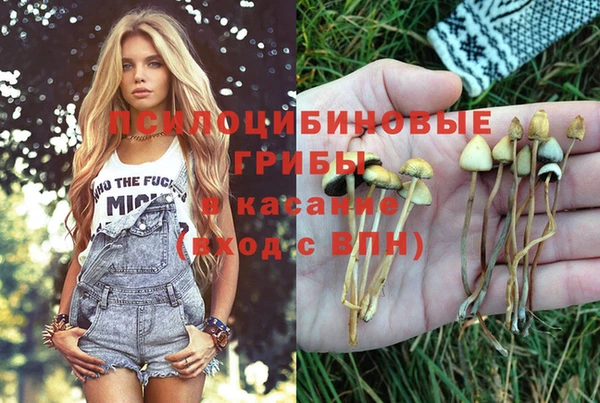 марки nbome Краснотурьинск