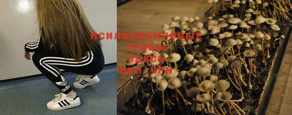 apvp Уссурийск