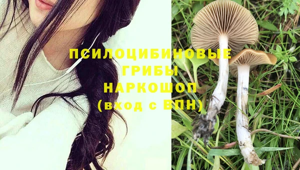 СК Волгодонск