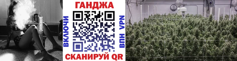 Бошки Шишки гибрид  mega ТОР  darknet какой сайт  Черноголовка 